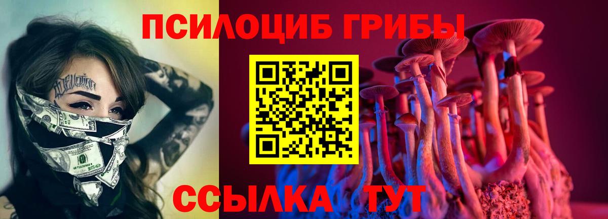 Псилоцибиновые грибы Psilocybine cubensis Нижневартовск